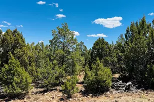 3585 Meadow Wood Dr, Happy Jack, AZ 86024 - Photo 1