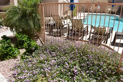 16631 E El Lago Boulevard #212, Fountain Hills, AZ 85268 - Photo 5