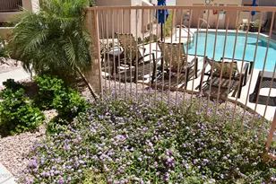 16631 E El Lago Blvd, Fountain Hills, AZ 85268 - Photo 5