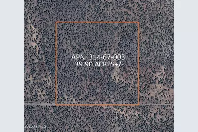 8531 N High Mountain Road #-, Peach Springs, AZ 86434 - Photo 5