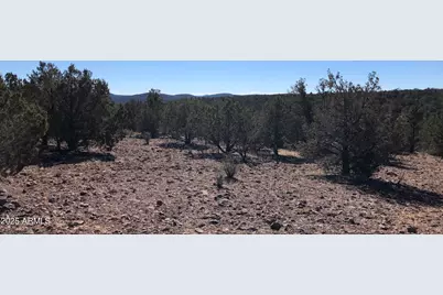 8531 N High Mountain Road #-, Peach Springs, AZ 86434 - Photo 11