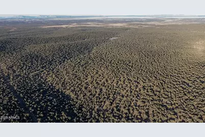 8641 N High Mountain Road #-, Peach Springs, AZ 86434 - Photo 19