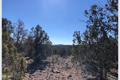 8641 N High Mountain Road #-, Peach Springs, AZ 86434 - Photo 9