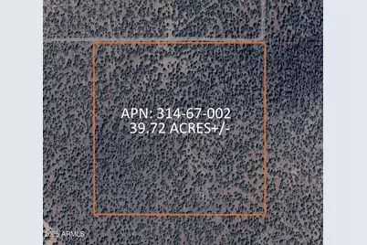 8641 N High Mountain Road #-, Peach Springs, AZ 86434 - Photo 5