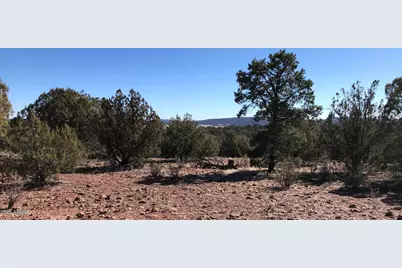 8711 N High Mountain Road #-, Peach Springs, AZ 86434 - Photo 13