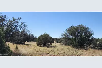8711 N High Mountain Road #-, Peach Springs, AZ 86434 - Photo 15