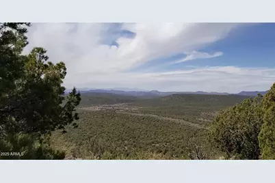 8711 N High Mountain Road #-, Peach Springs, AZ 86434 - Photo 17