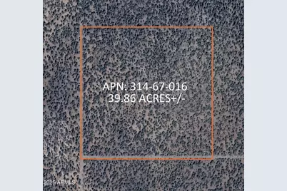 8711 N High Mountain Road #-, Peach Springs, AZ 86434 - Photo 5