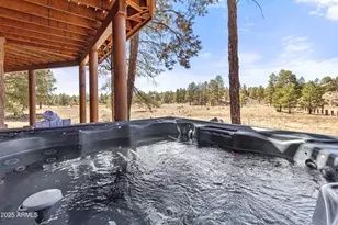 2802 Zane Grey Blvd, Overgaard, AZ 85933 - Photo 41