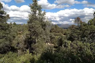 2311 E Feather Plume Ln, Payson, AZ 85541 - Photo 1