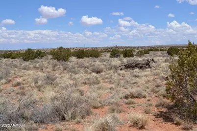 Lot 020E E 24th North Street #020E, Snowflake, AZ 85937 - Photo 3