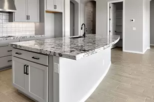 15787 W Mariposa Grande St, Surprise, AZ 85387 - Photo 13