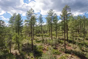 134 E Belluzzi Blvd, Payson, AZ 85541 - Photo 3