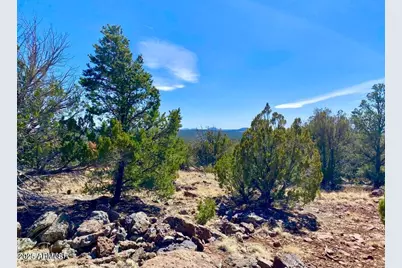 74 County Road 8056 -- #152, Concho, AZ 85924 - Photo 3