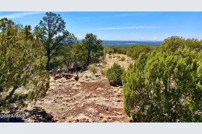 74 County Road 8056 -- #152, Concho, AZ 85924 - Photo 19