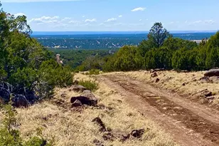 74 County Road 8056 --, Concho, AZ 85924 - Photo 1