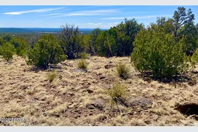 74 County Road 8056 -- #152, Concho, AZ 85924 - Photo 17