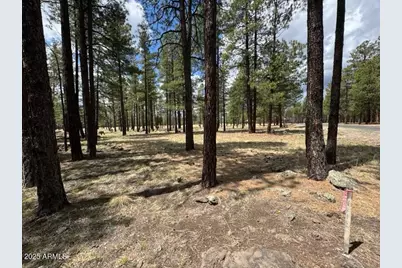 Lot 1 Hattie Greene -- #1, Flagstaff, AZ 86001 - Photo 3