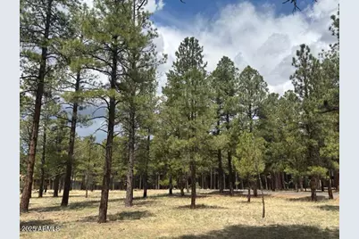 Lot 1 Hattie Greene -- #1, Flagstaff, AZ 86001 - Photo 1