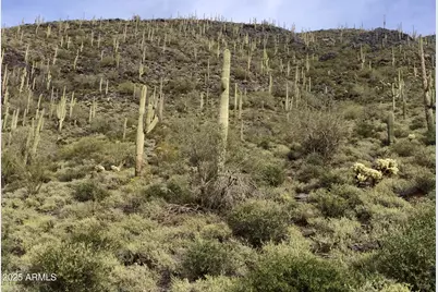 62Xx E Carriage Drive #-, Cave Creek, AZ 85331 - Photo 1