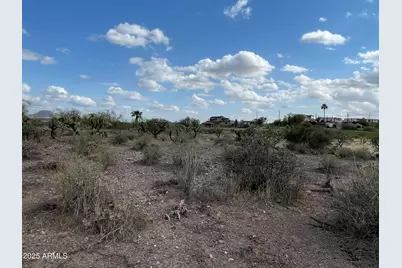 00 N Elephant Butte Road #E, Queen Valley, AZ 85118 - Photo 5