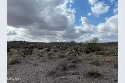 00 N Elephant Butte Road #E, Queen Valley, AZ 85118 - Photo 3