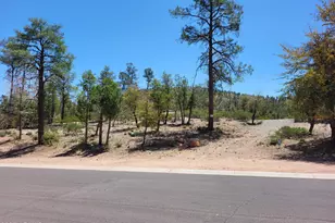 1201 E Phoenix St, Payson, AZ 85541 - Photo 1
