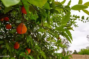 4107 E Fairview Cir, Mesa, AZ 85206 - Photo 51