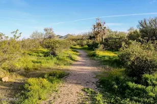 2425 W Bronco Butte Trl, Phoenix, AZ 85085 - Photo 37