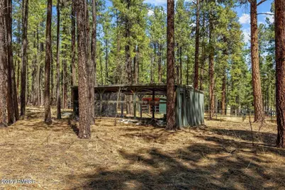 61 County Road 2266 --, Alpine, AZ 85920 - Photo 45
