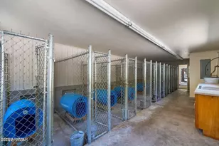 61 Co Rd 2266, Alpine, AZ 85920 - Photo 9