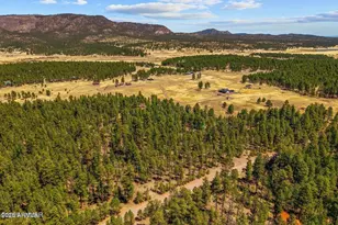 61 Co Rd 2266, Alpine, AZ 85920 - Photo 49