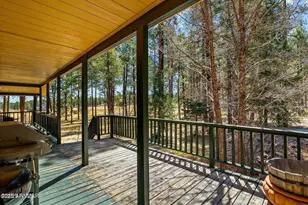 61 Co Rd 2266, Alpine, AZ 85920 - Photo 31