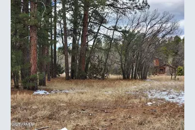 2540 W Pinegrass Road, Show Low, AZ 85901 - Photo 5