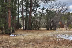 2540 W Pinegrass Rd, Show Low, AZ 85901 - Photo 5