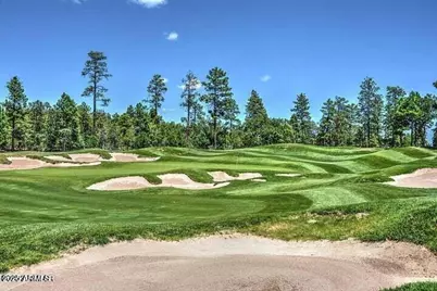 2540 W Pinegrass Road, Show Low, AZ 85901 - Photo 17