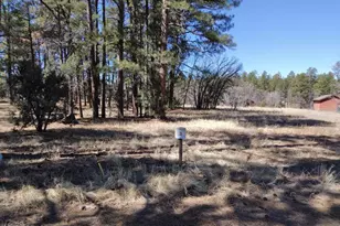 2540 W Pinegrass Rd, Show Low, AZ 85901 - Photo 7