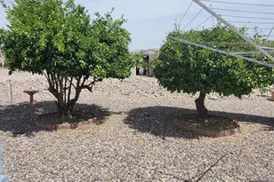 808 E Pennsylvania Ave, Florence, AZ 85132 - Photo 39