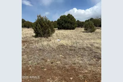 620 S Rock Ridge Drive #74, Show Low, AZ 85901 - Photo 3