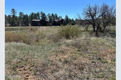 1301 S Lakeside Trail #33, Show Low, AZ 85901 - Photo 3