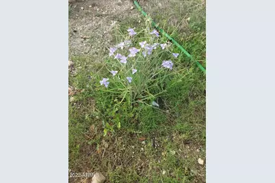 52116 N Hutton Peak Road, Miami, AZ 85539 - Photo 31