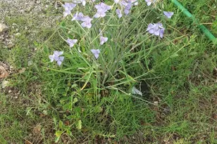 52116 N Hutton Peak Rd, Miami, AZ 85539 - Photo 31