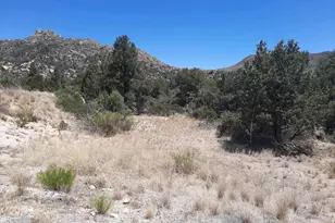 52116 N Hutton Peak Rd, Miami, AZ 85539 - Photo 19