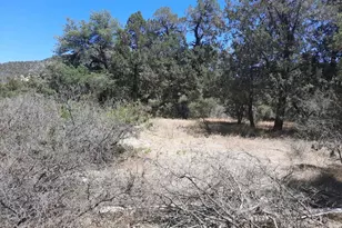 52116 N Hutton Peak Rd, Miami, AZ 85539 - Photo 21