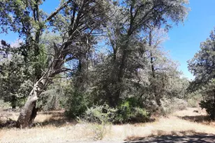 52116 N Hutton Peak Rd, Miami, AZ 85539 - Photo 13