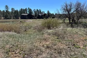 1301 S Lakeside Trl, Show Low, AZ 85901 - Photo 3