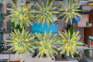 4747 N Scottsdale Rd, Scottsdale, AZ 85251 - Photo 29