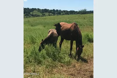 3128 Highway 82 --, Sonoita, AZ 85637 - Photo 3