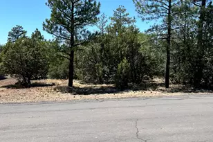 5454 Gray wolf Dr, Lakeside, AZ 85929 - Photo 1