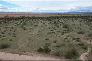 48327 W Pampas Grass Rd, Maricopa, AZ 85139 - Photo 1